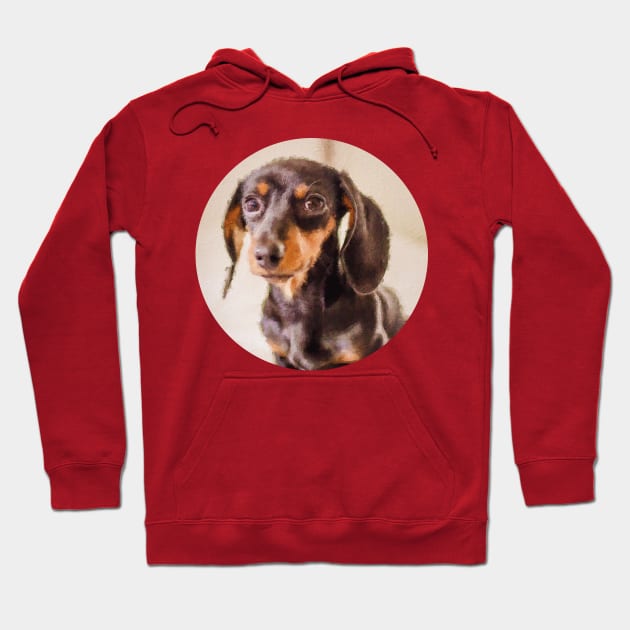 Dachshund puppy painting Hoodie by Arteria6e9Vena